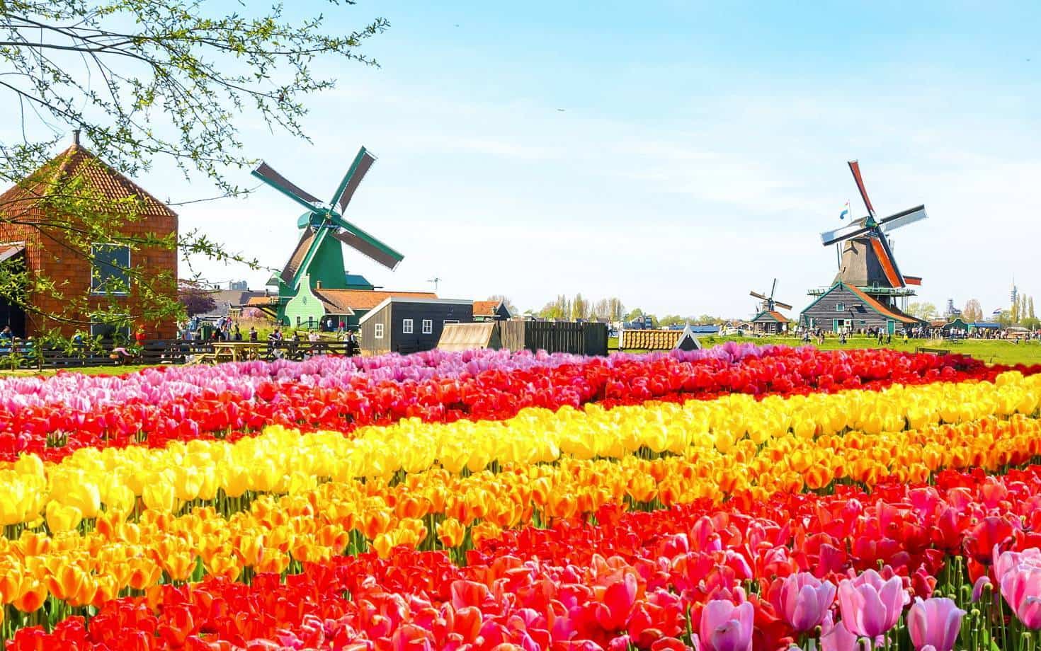 kinh nghiệm du lịch nước Hà Lan
